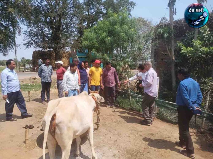 निरीक्षण करते हुए सेंट्रल टीम, फोटो- पी. आर. डी. पाकुड़