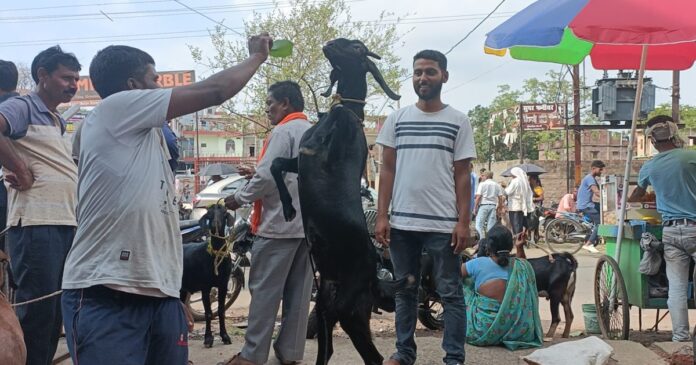 बकरीद के मद्देनजर हजारीबाग में सजे बाजार, 3 से 30 हजार तक है एक बकरे की कीमत