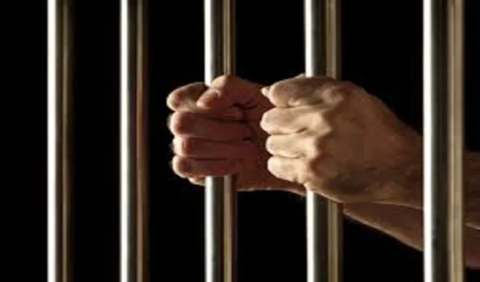 Five arrested