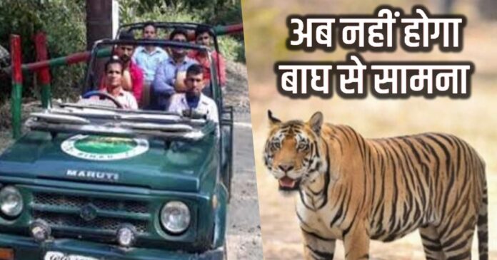 अब नहीं हो सकेगा बाघ का दीदार! वाल्मीकि टाइगर रिजर्व में जंगल सफारी पर ब्रेक