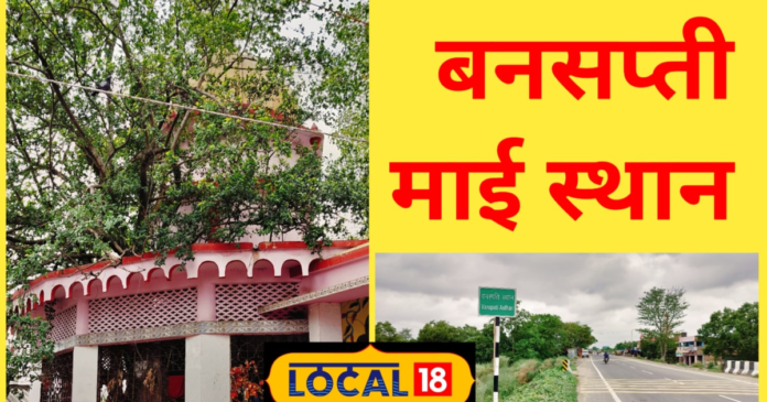 मनोकामना पूरी होने पर चोंच रगड़ श्रद्धालु उड़ा देते हैं जोड़ा कबूतर, जानें वजह