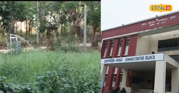 पूर्णिया के छात्रों का कमाल! अपने आप टंकी में भरेगा पानी, नहीं होगी बर्बादी