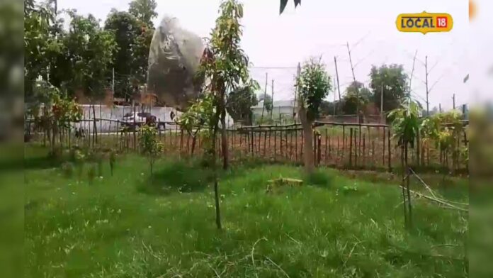 ट्रक ड्राइवर ने पर्यावरण संरक्षण का उठाया बीड़ा, घर घर जाकर पेड़ लगाने को करता है जागरूक
