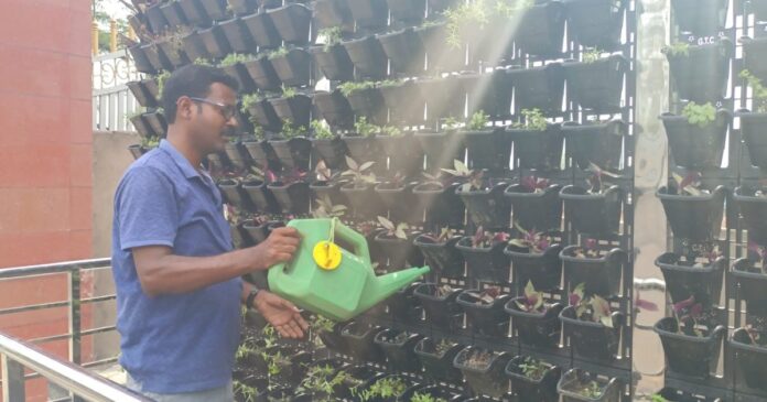 वर्टिकल गार्डेन से बढ़ रही शहर की सुंदरता, सेल्फी प्वाइंट के रूप में भी हुआ विकसित