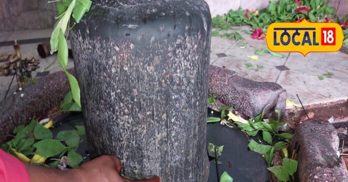 यहां है देश का एकमात्र शिव मंदिर,जहां महादेव को लगाया जाता है भगवान विष्ण तिलक
