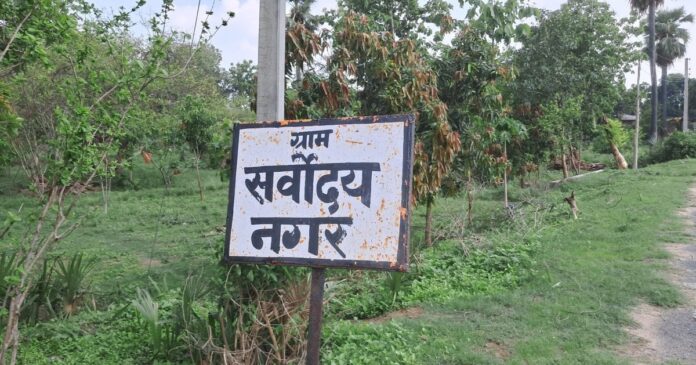 गया में भूदान की जमीन बदली बहेलियों की जिंदगी,पक्षियों का शिकार छोड़ अब उगा रहे हैं फल