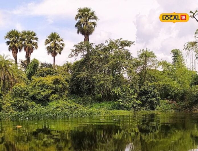 हजारीबाग के इस तालाब में स्नान से दूर होता है चर्म रोग, जानें मान्यता व लोकेशन....