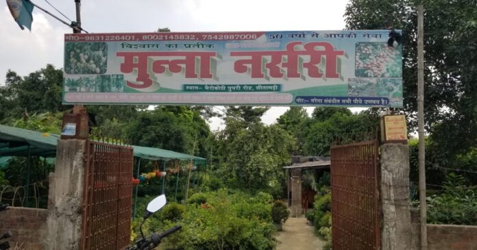 60 साल पुराना सीतामढ़ी का यह नर्सरी है बेहद खास, हर प्रजाति के हैं यहां पौधे 