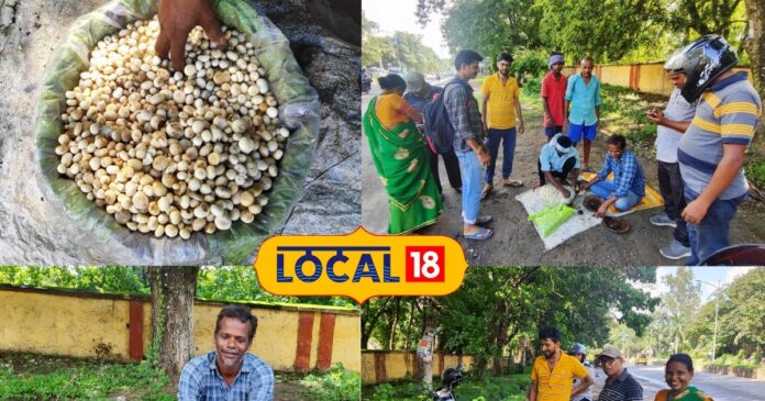 सिर्फ जंगलों में उगती है ये सब्जी, पौष्टिक गुणों से भरपूर 800 रुपये KG है दाम