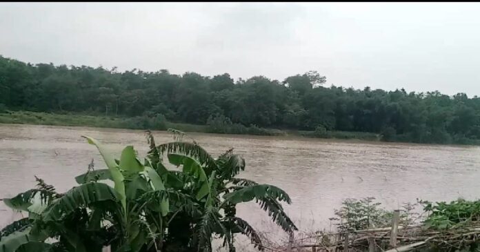 खेती करने के लिए हर दिन दर्जनों किसान कमला नदी पार कर जाते हैं उस पार