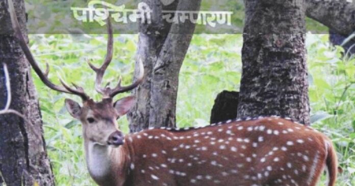 हाईटेक टेक्नोलॉजी और मोबाइल ऐप से होगी जंगल तथा जंगली जानवरों की रखवाली