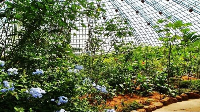Official said Open-air Butterfly Park in Birsa Zoo to be opened to public soon