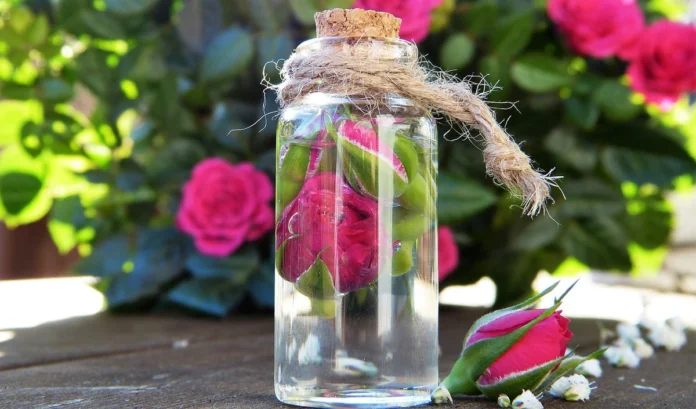 rose water