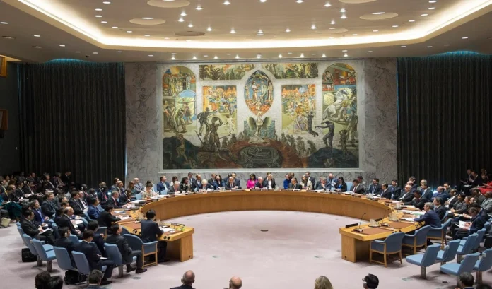 UN Security Council