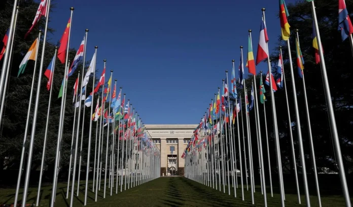  United Nations