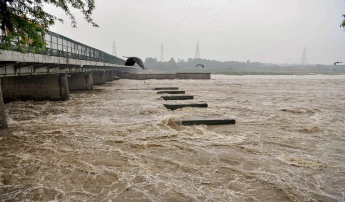Yamuna