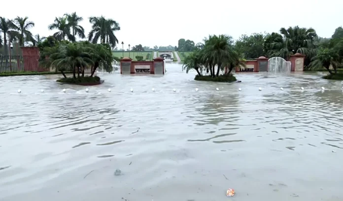 yamuna
