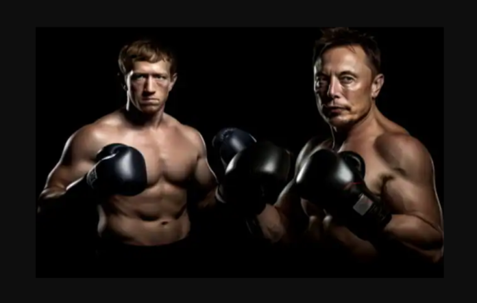 Elon Musk vs Mark Zuckerberg फाइट कंफर्म! यहां होगी लाइव स्ट्रीम ...