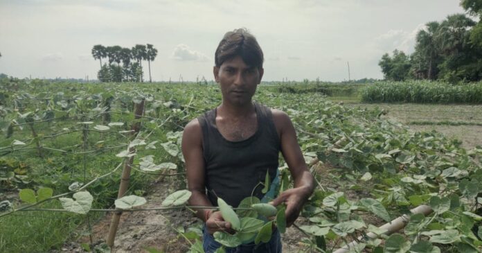 यह किसान साल भर करता है सब्जी का उत्पादन,हो रहा हैं मालामाल