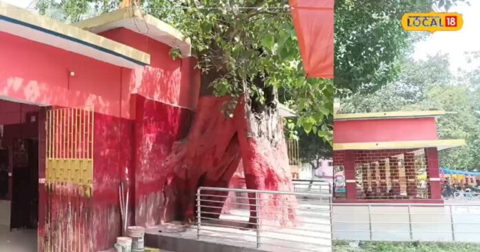 सैकड़ों साल पुराने इस मंदिर की अनोखी मान्यता, यहां पान बता देता है आपकी इच्छा पूरी होगी या नहीं...
