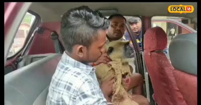 ईश्वर का रूप मानकर की बंदर की सेवा, मौत के बाद दफनाया,अब बनवाएंगे हनुमान मंदिर