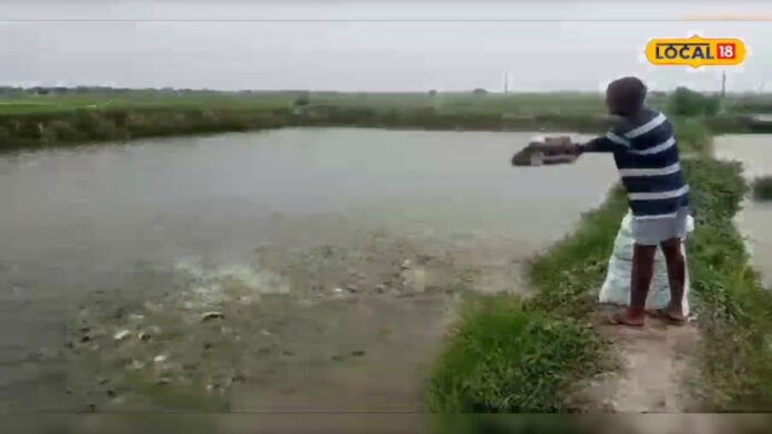 मछली पालन से बदली किसान की किस्मत, हो रही बंपर कमाई, दूसरों के लिए बने प्रेरणा