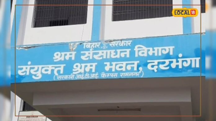 Job Alert: बनना चाहते हैं MR, तो 17 अगस्त को आएं यहां, इस प्रतिष्ठित कंपनी में जॉब का अवसर