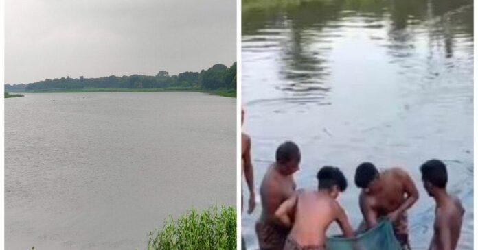 बिहार के कसरैया धार की मछलियों की धूम, कोलकाता से लेकर लखनऊ तक हाई डिमांड, मुंहमांगी कीमत देते हैं ग्राहक