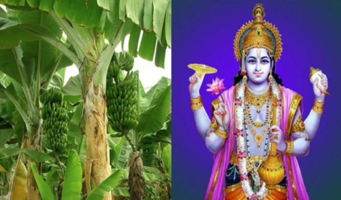 Guruvar Vrat