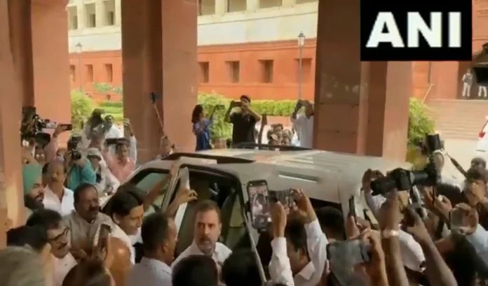 rahul lok sabha